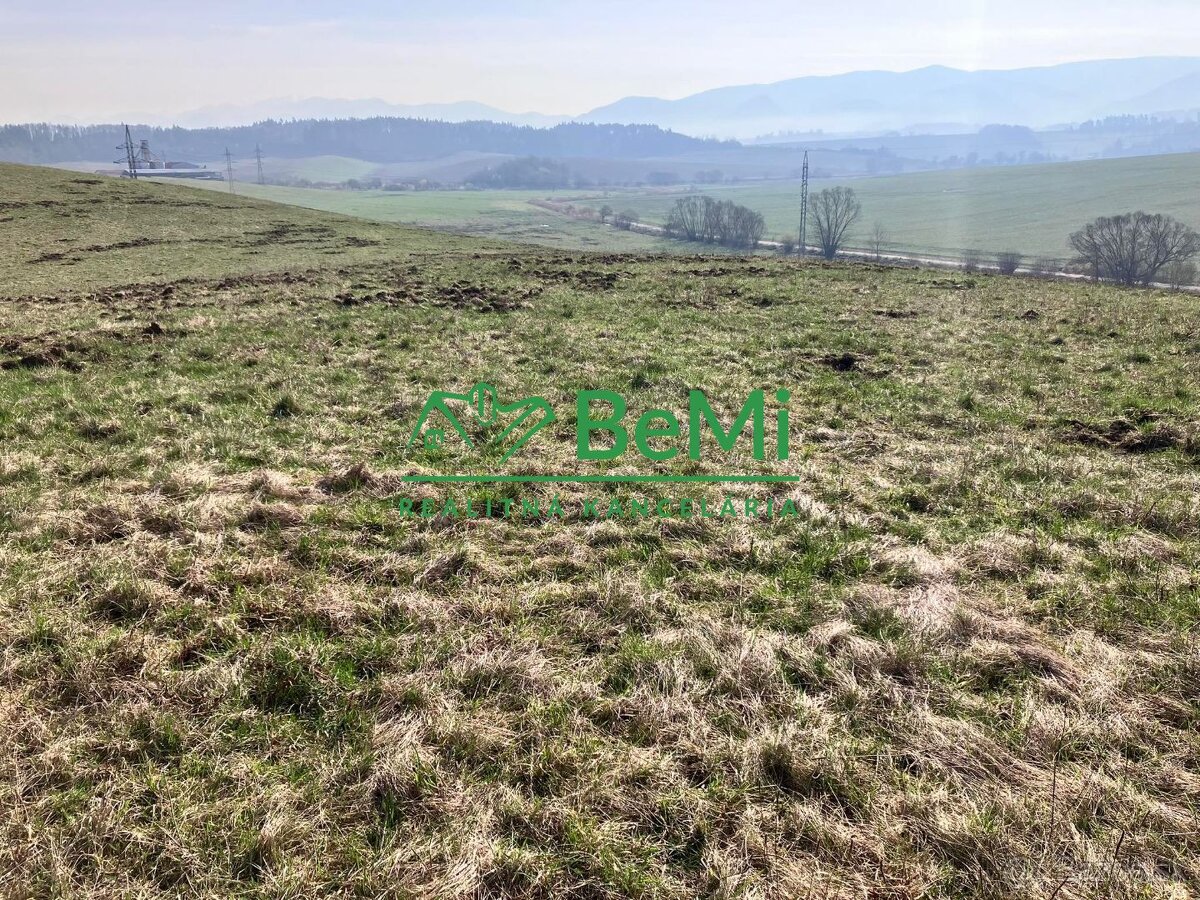 Pozemok v obci Hôrky, okres Žilina, 4511m2 036-14-JAGAa