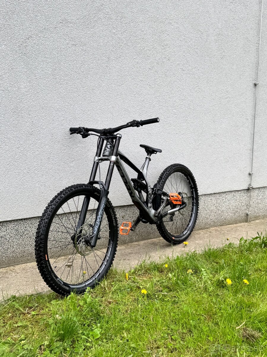 Kellys noid 70