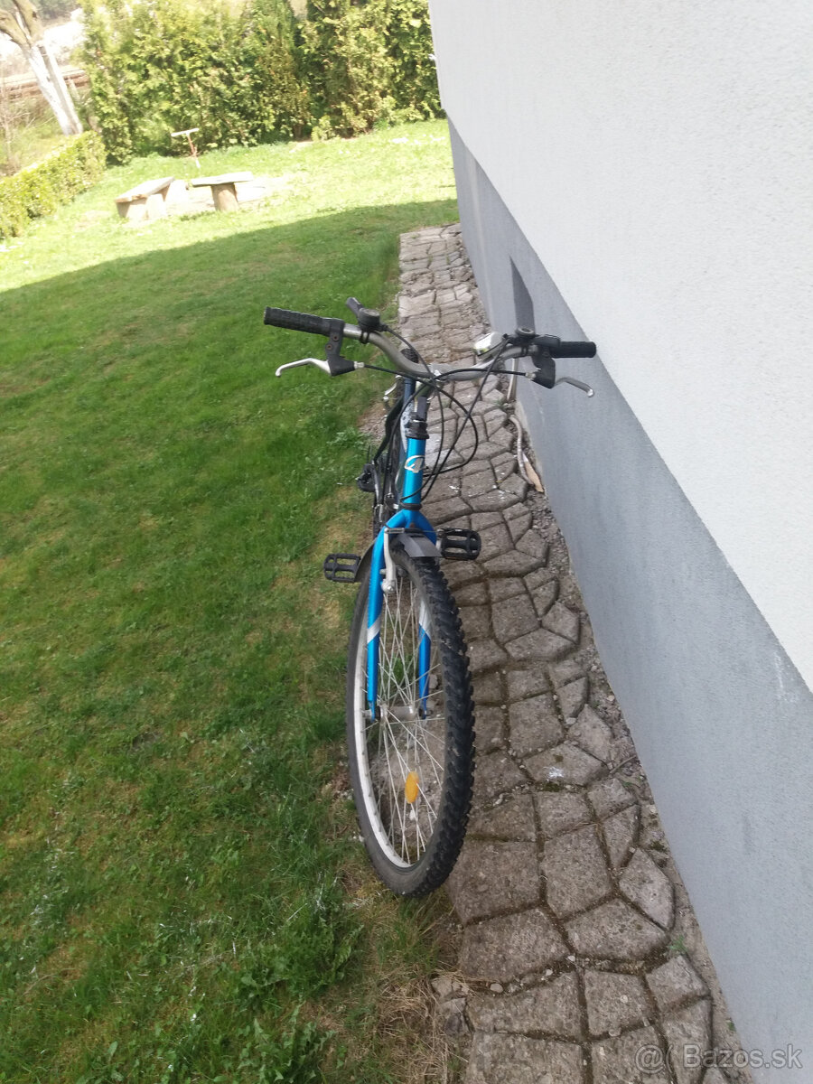 bicykel Forester.