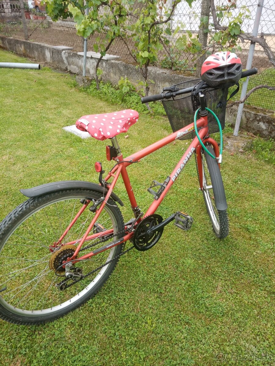 Horsky bicykel