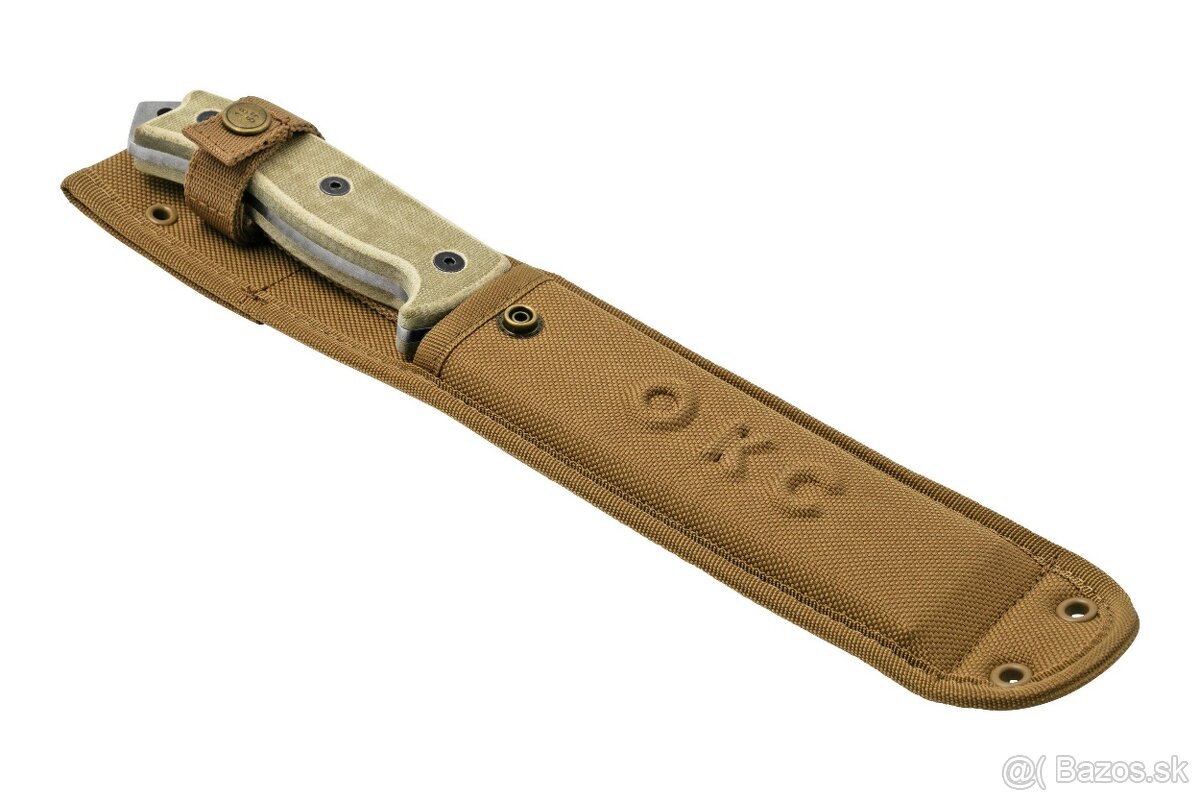 Rat 6