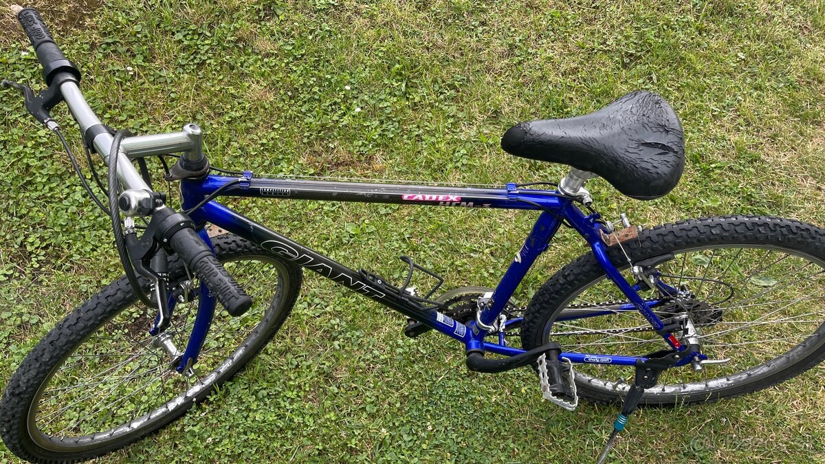 Giant hcm-5
