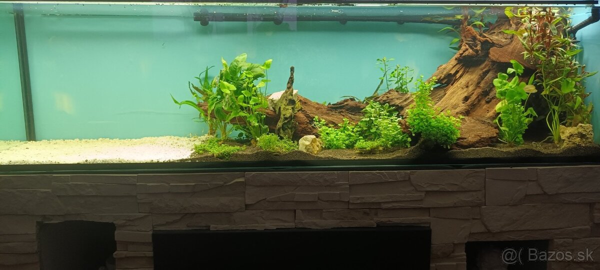 Akvarium 160x40x40