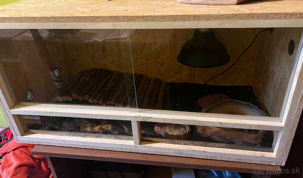 Terarium