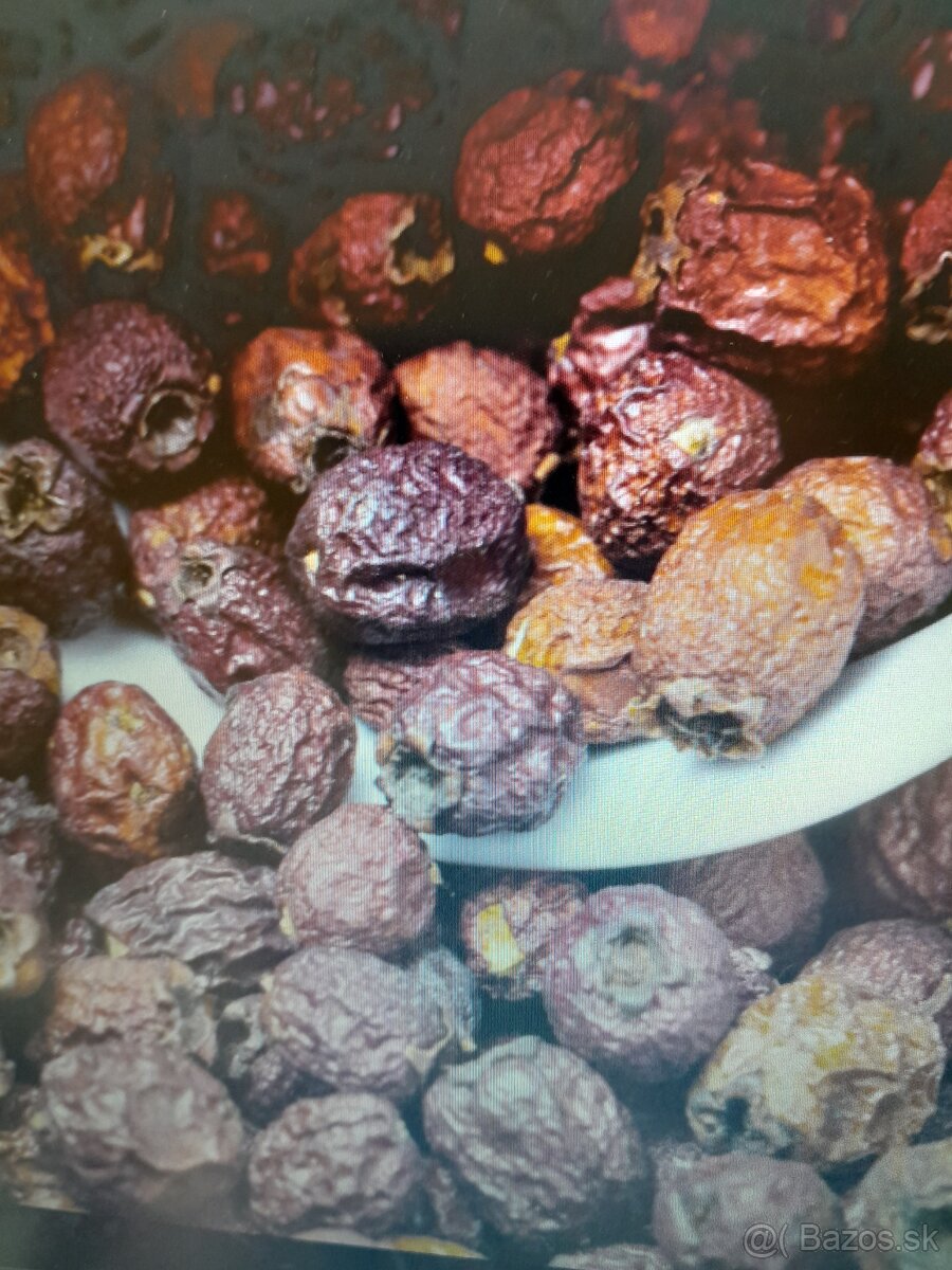 Predam susene plody hloh obycajny