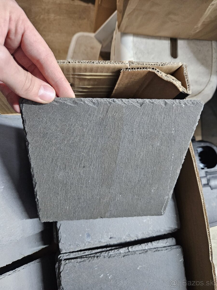 Bridlice do akvaria - bridlica