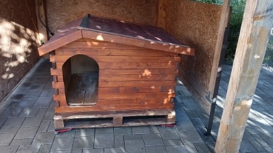 Búda pre psa s vykurovaním a termostatom