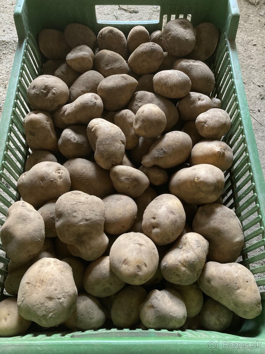 Konzumne zemiaky