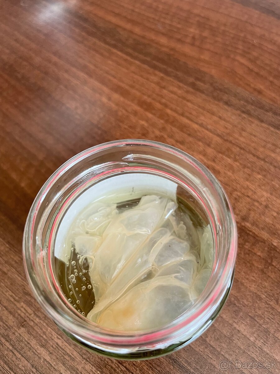 Kombucha