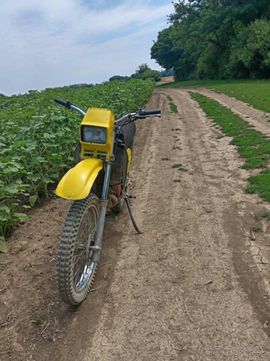 Suzuki ts 125x