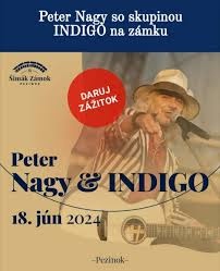 Predám lístky na koncert Petra Nagyho v Pezinku
