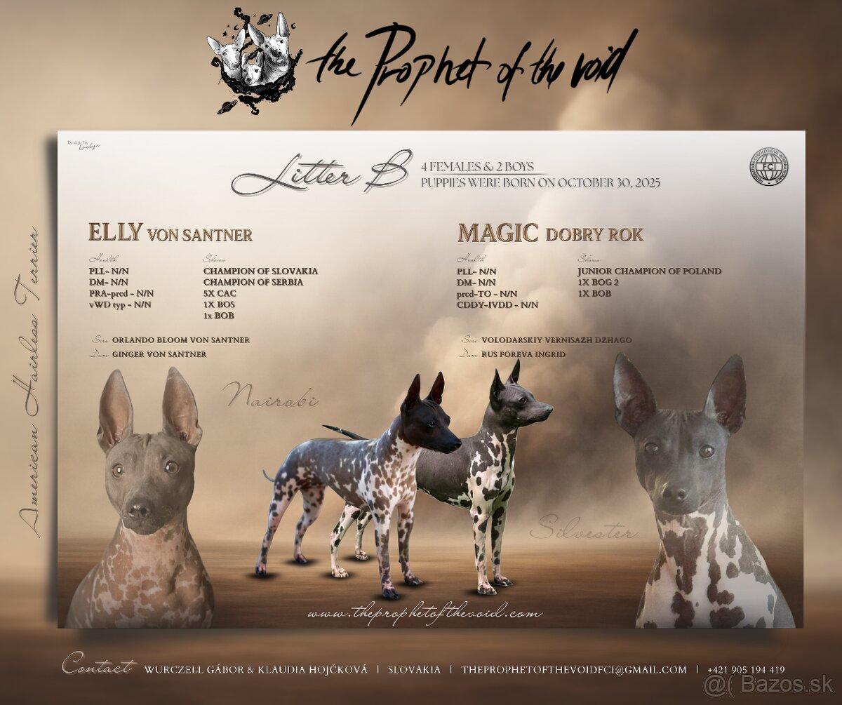 Americký bezsrstý teriér s PP FCI