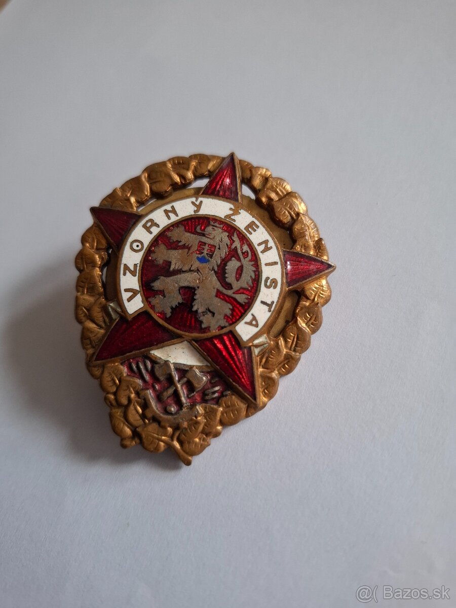 Odznak Vzorný ženista