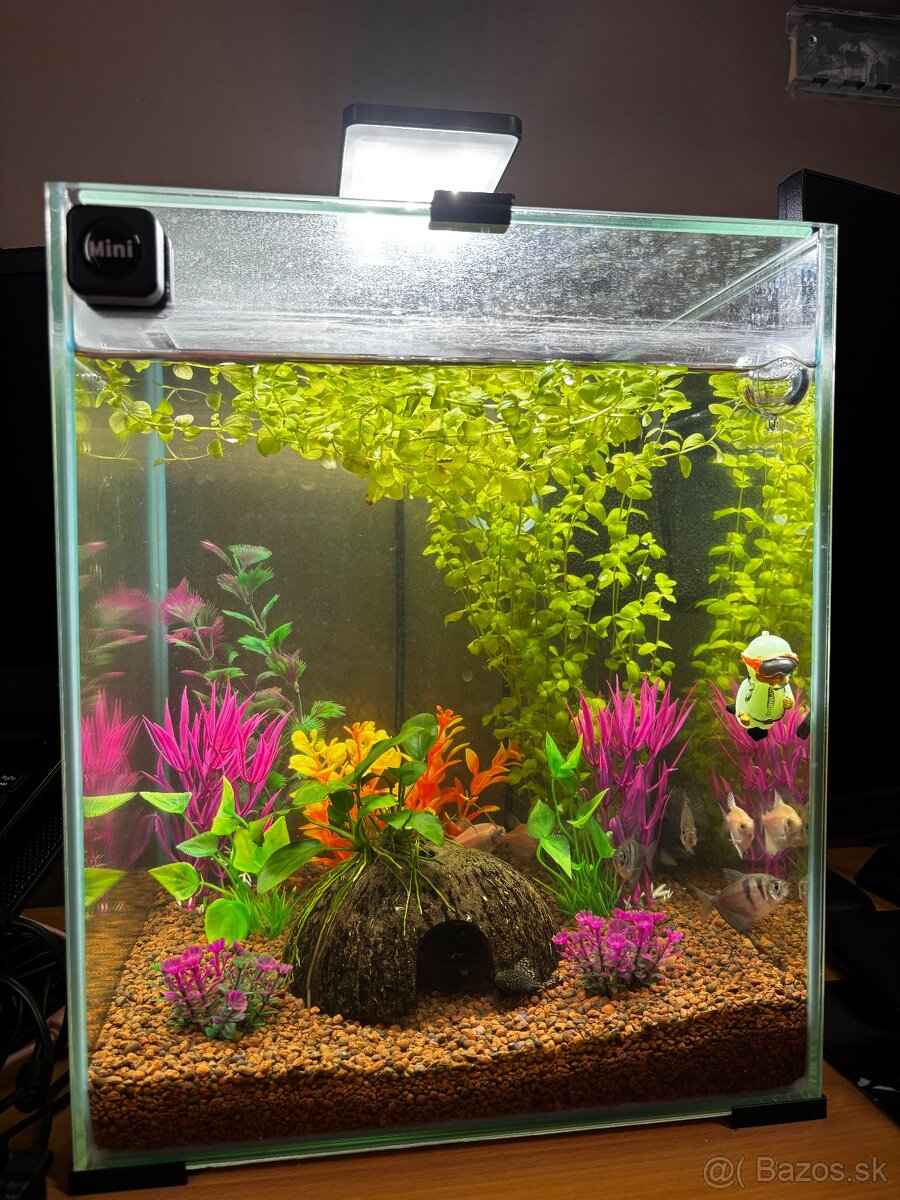 Aquarium set