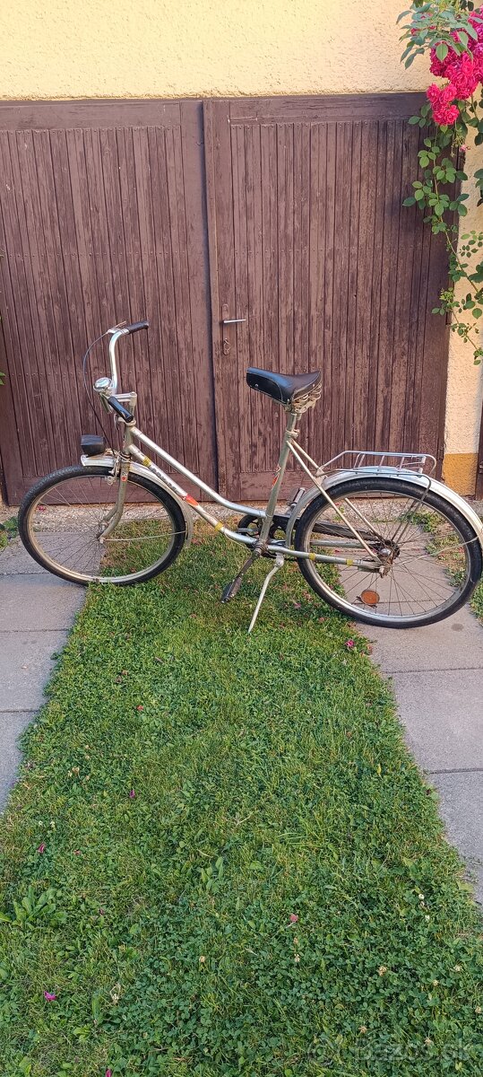 Lady 26