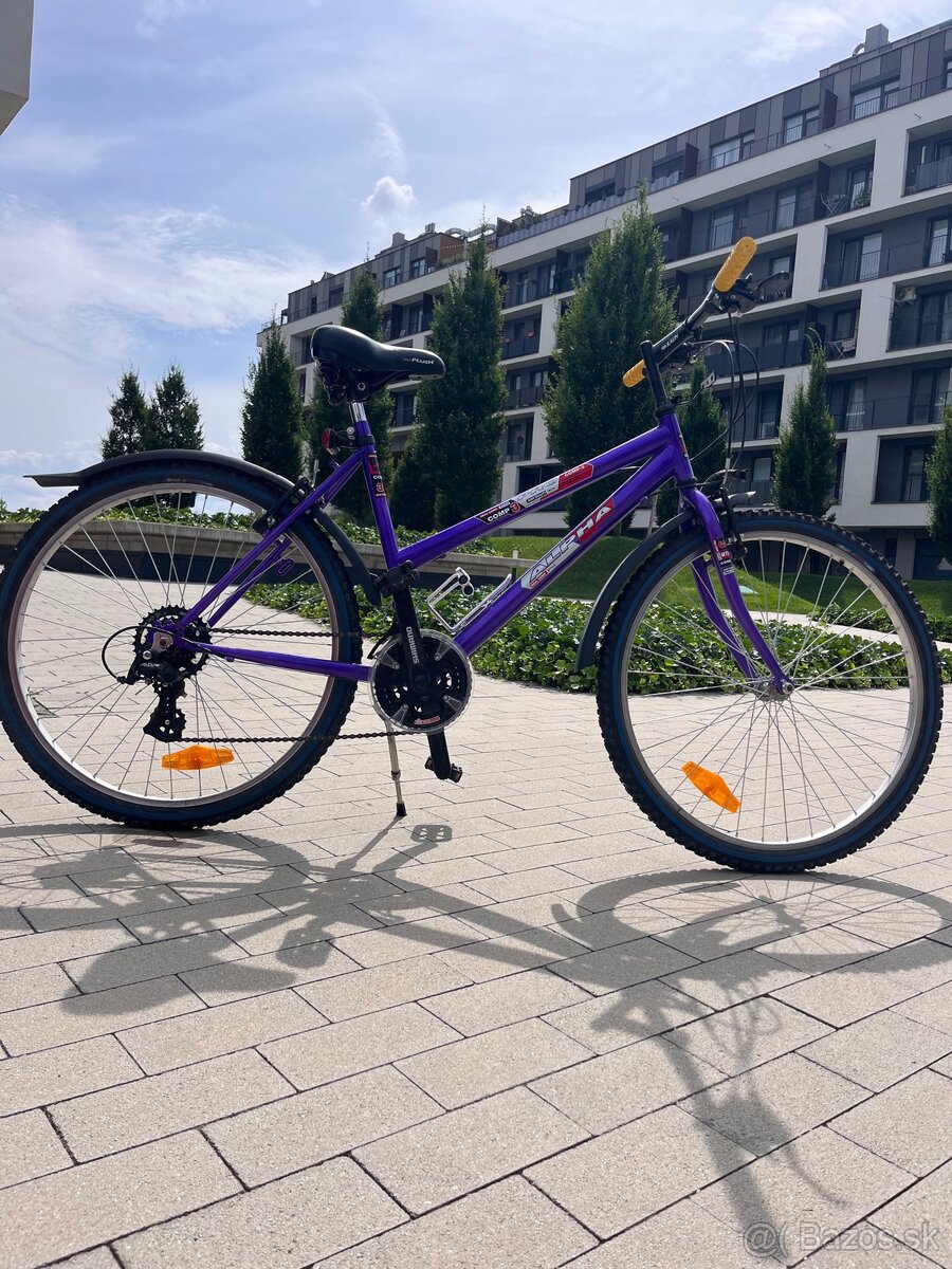 Damsky bicykel