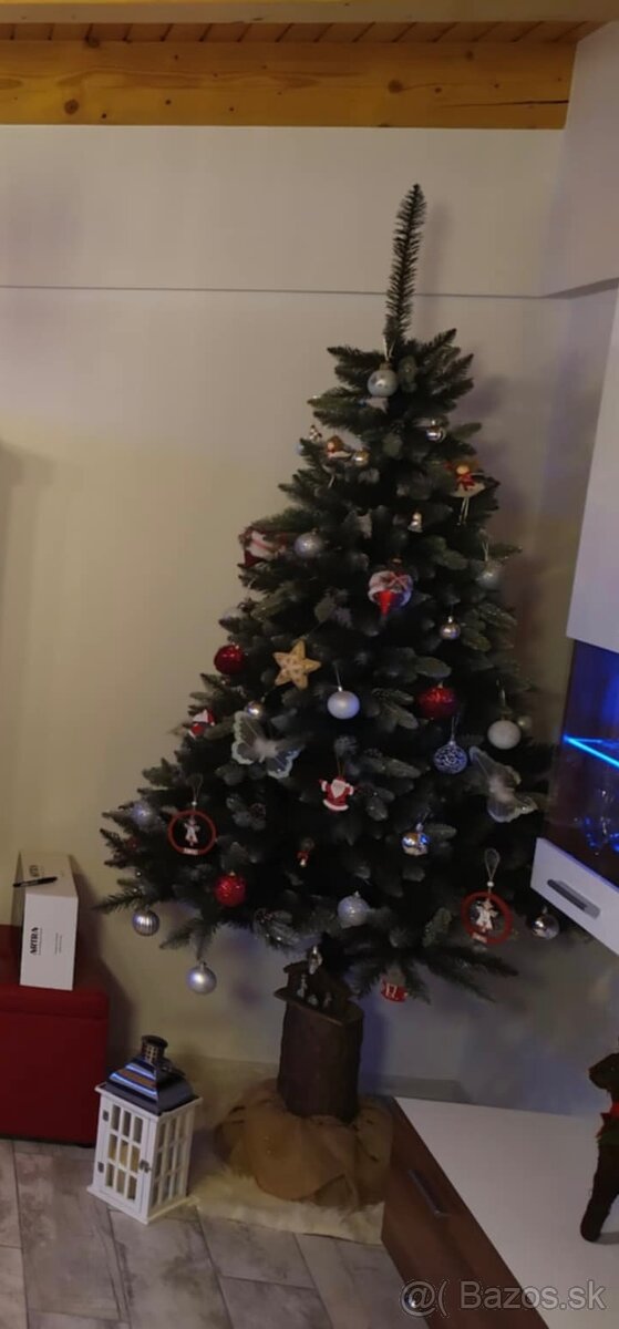 Predám vianočný stromček