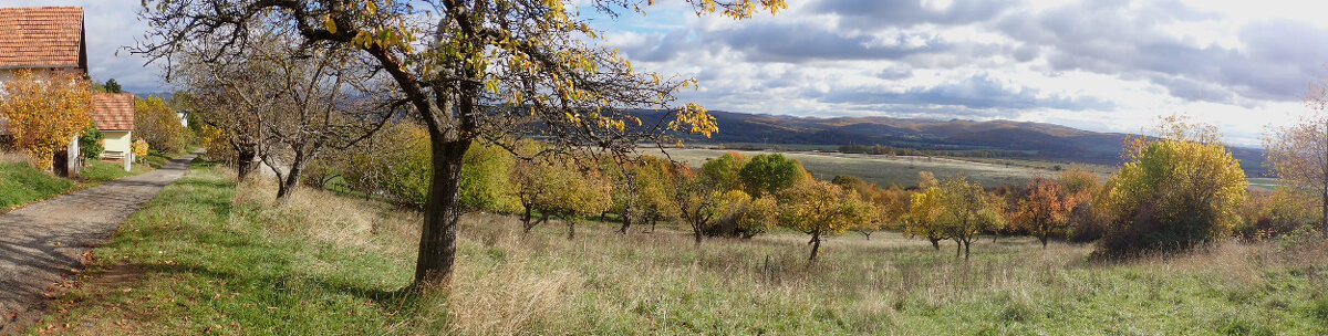 Pozemok(440m2),v katastrál. úz. Pukanec -na predaj