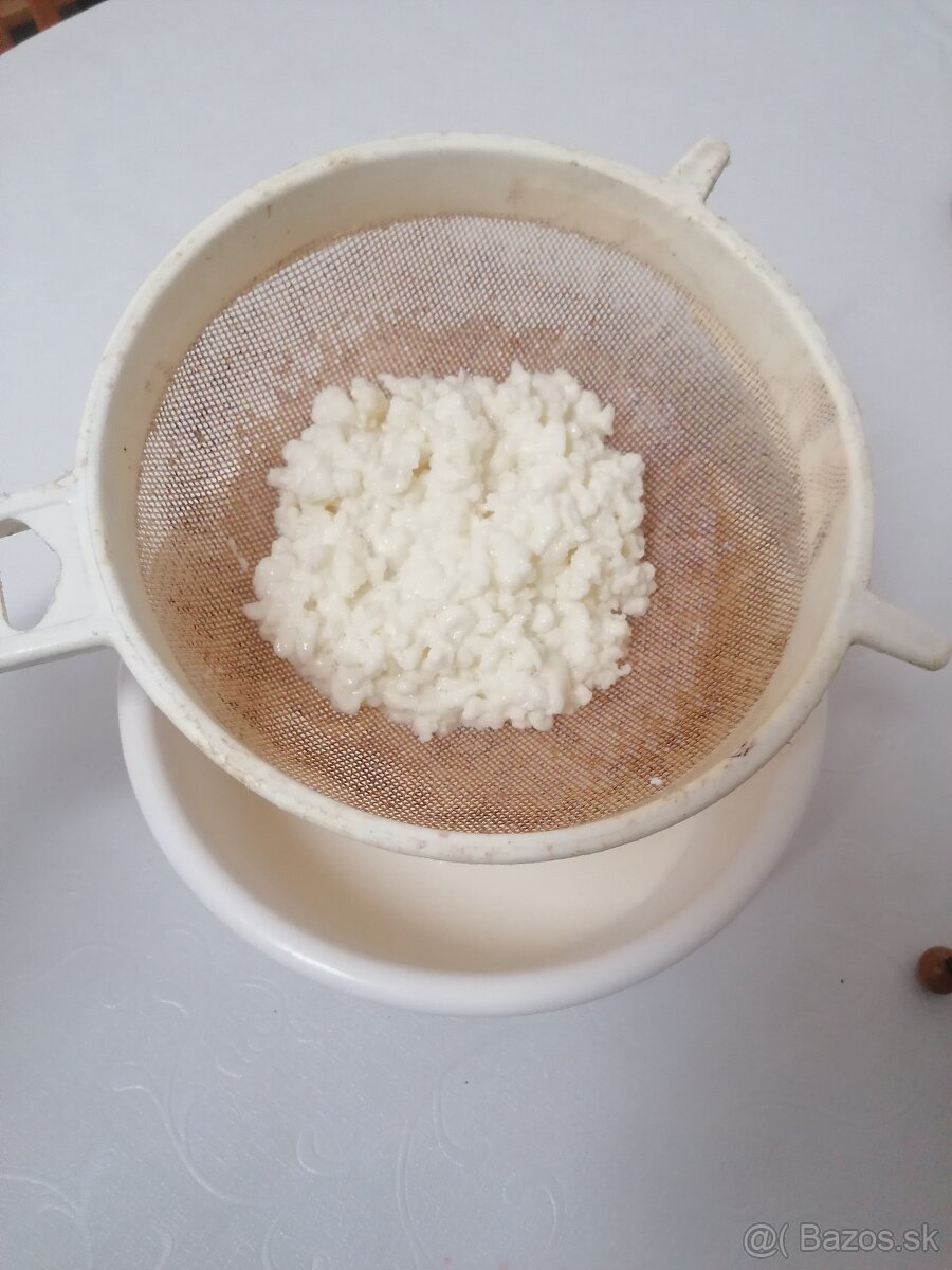 Tibetská huba-kefirové zrna