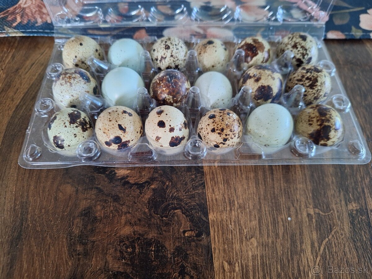 Prepeličie vajíčka