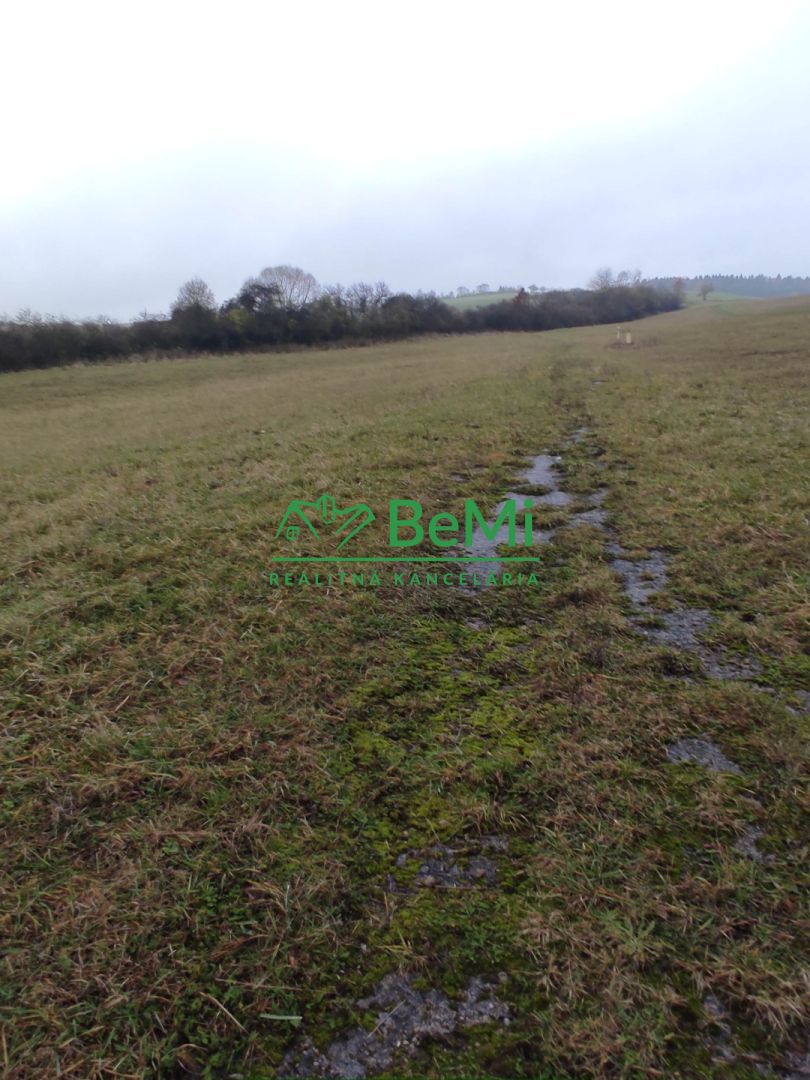 Pozemok v obci Bitarová, okres Žilina 5187m2 085-14-PEMO