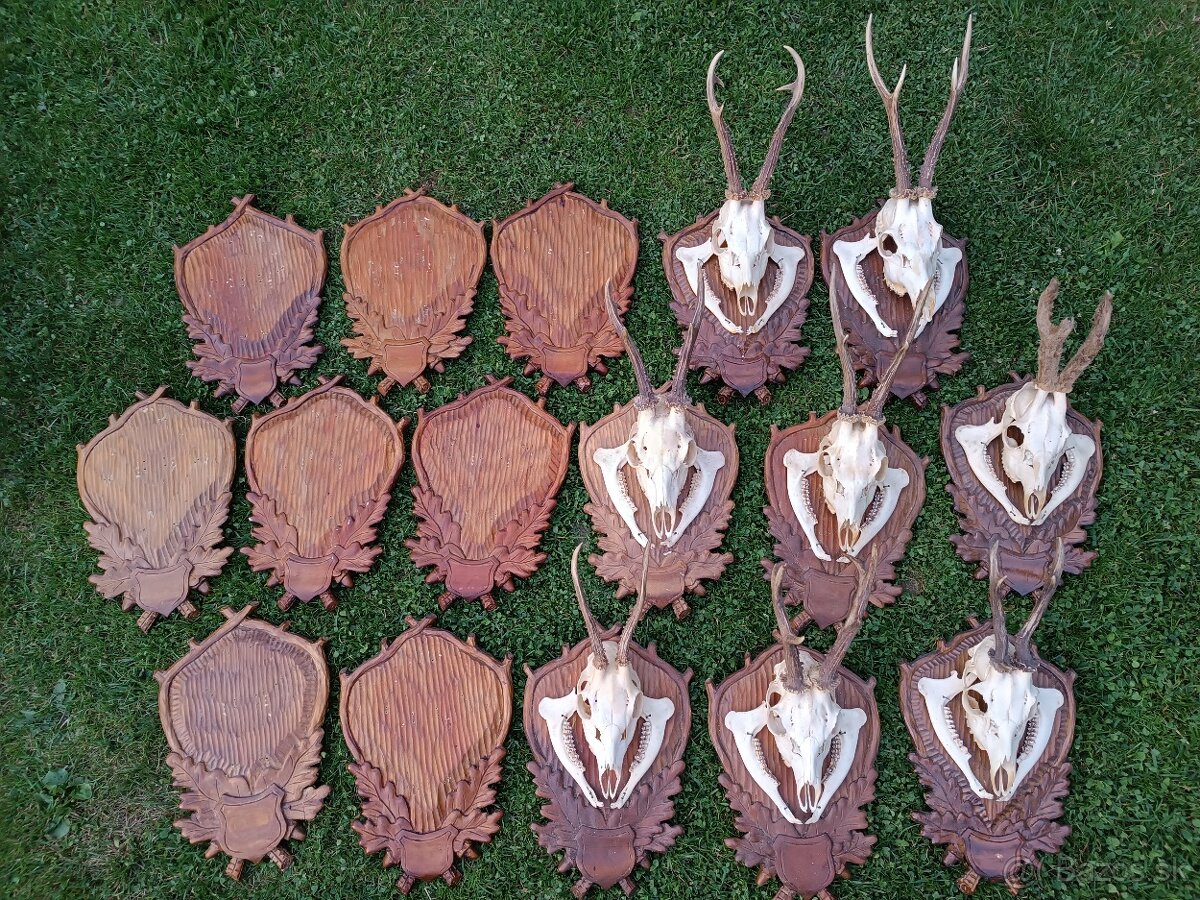 Parohy, zhody, trofeje, srnce, podlozky