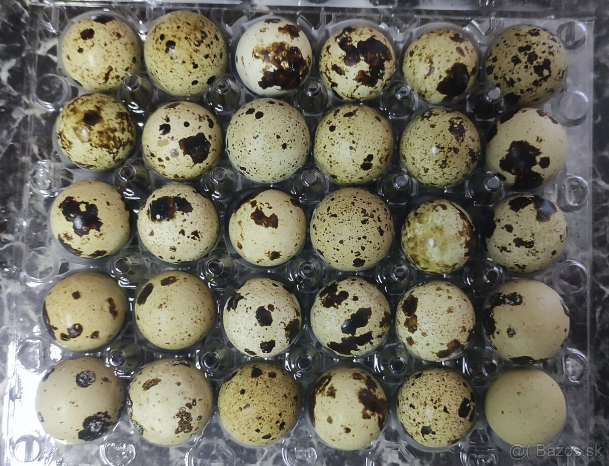 Prepeličie vajíčka