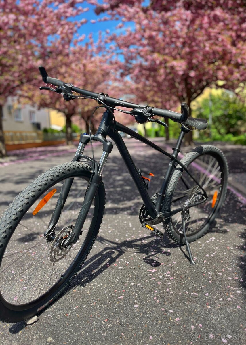Specialized Rockhopper 29
