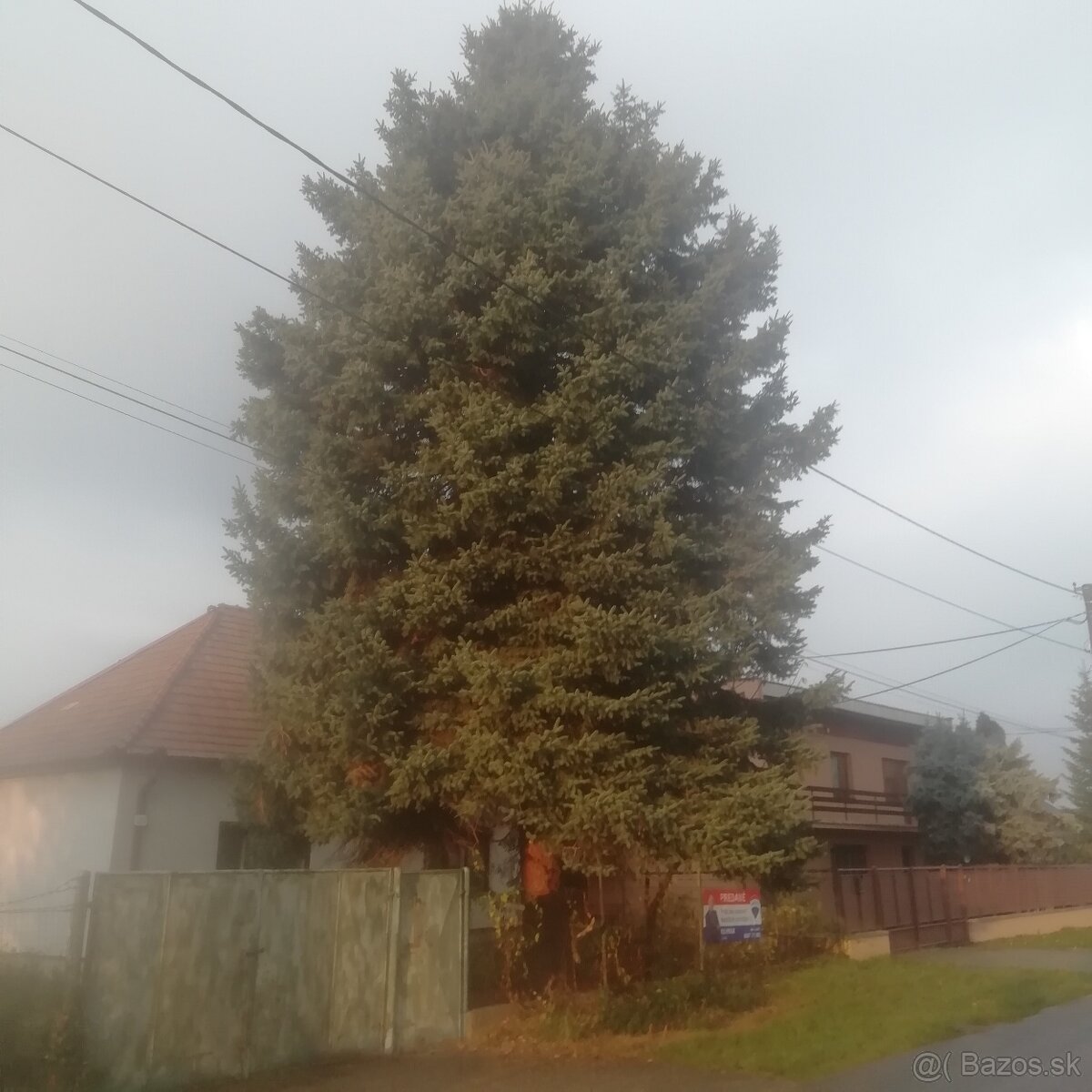 Darujeme na vianocnu vyzdobu