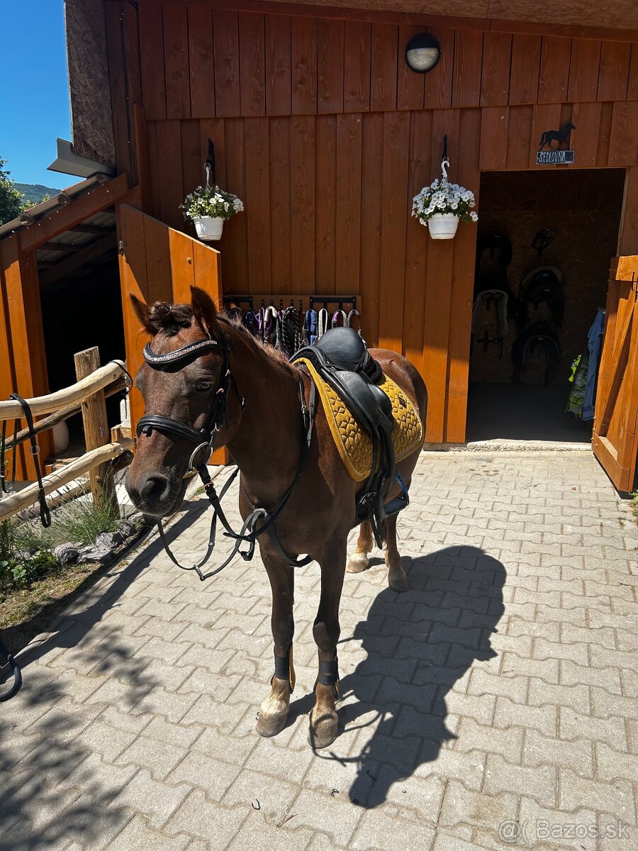 Predam sikovneho pony pre deti