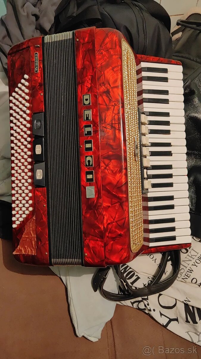 Harmonika Accordeon Delicia 120 bas