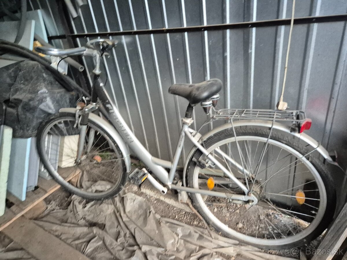 Bicykel fisher