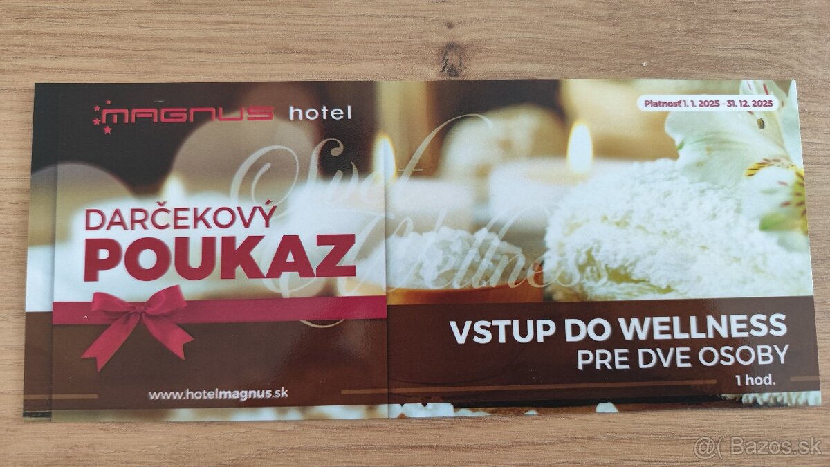 Vstup do wellnes hotel magnus