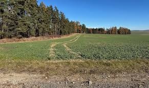 pozemok len rovinatý od 3000 - 10000m2