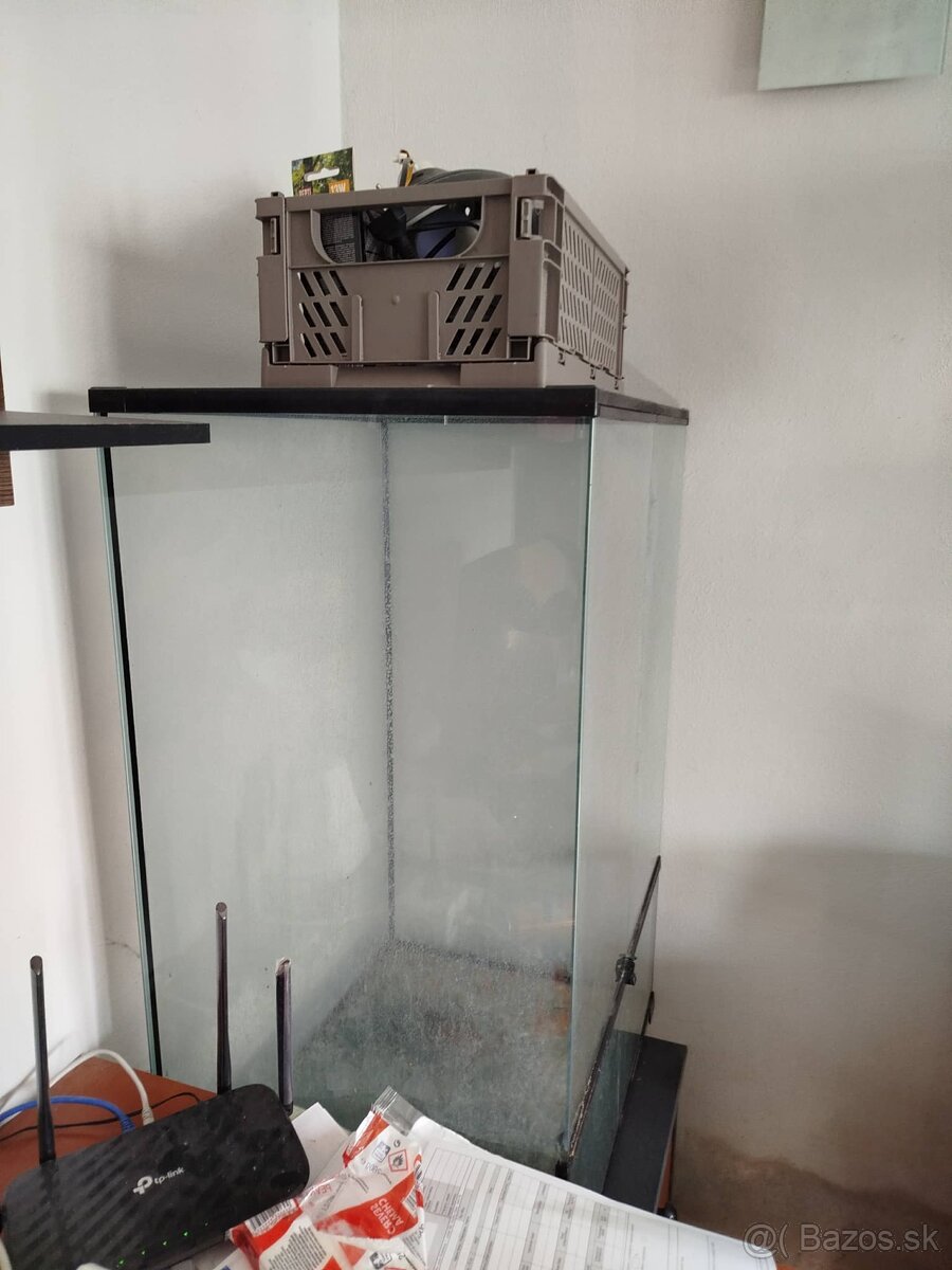 Terarium plus osvetlenie