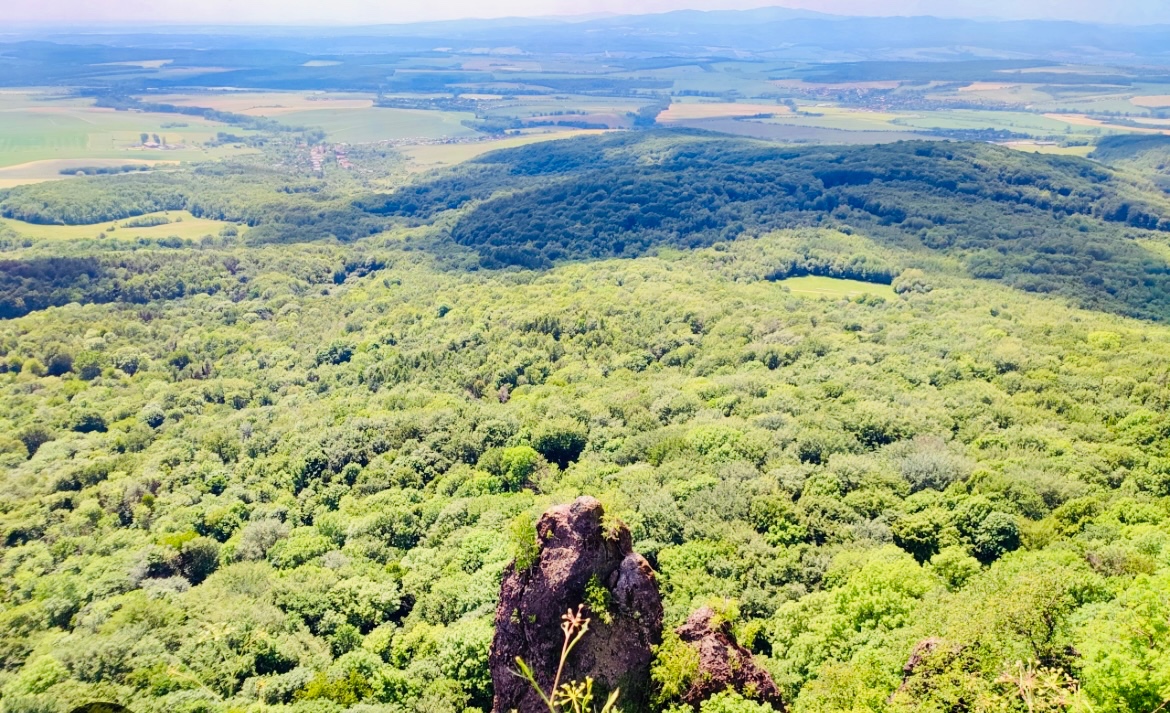 Predám lesný pozemok Rankovce 5593 m2