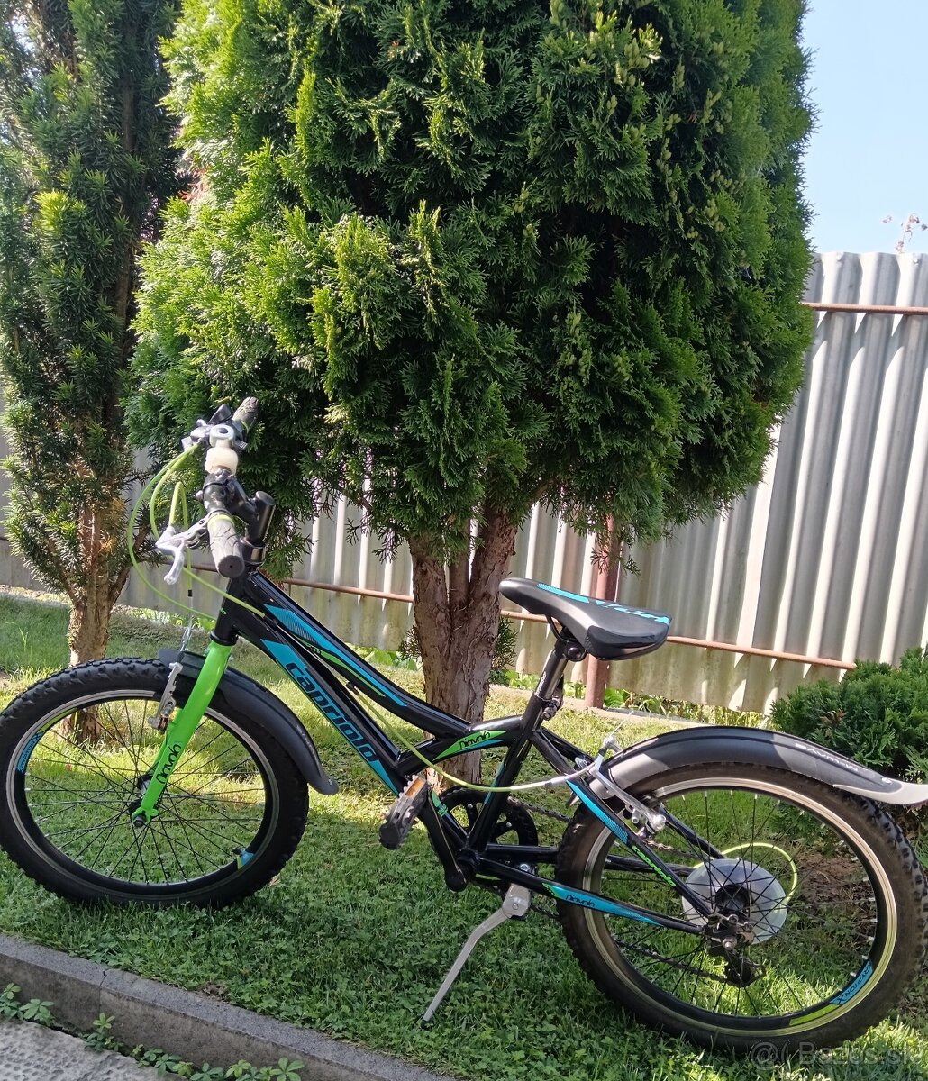 Capriolo bicykel