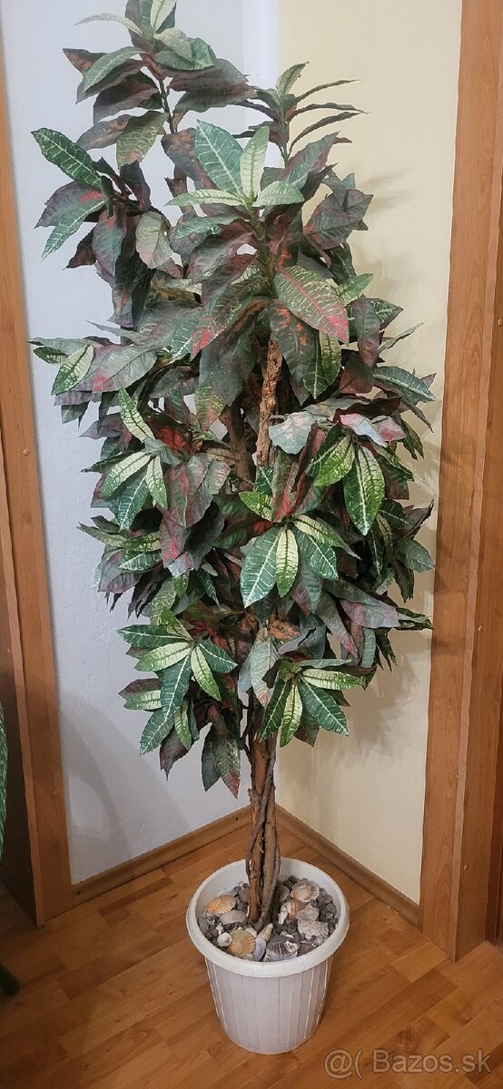 umelý strom Capensia