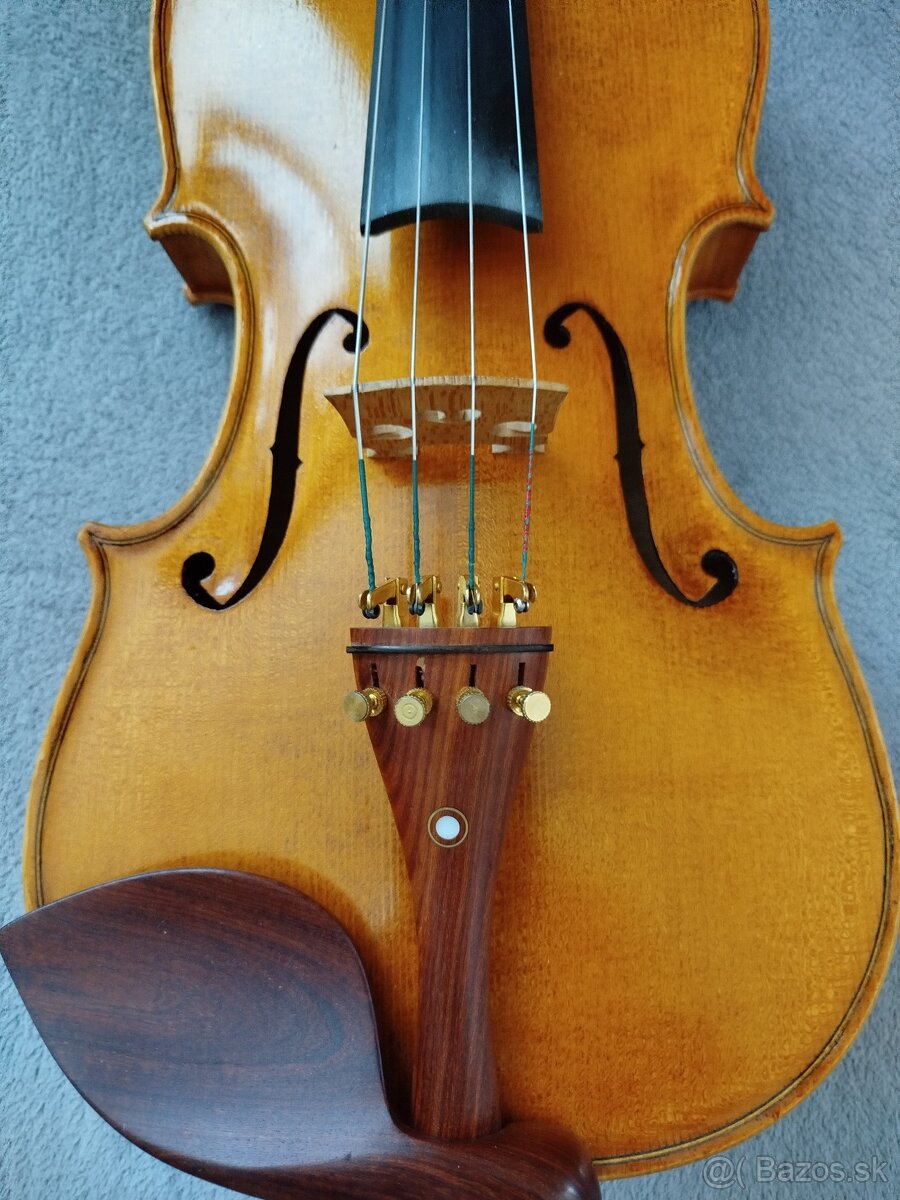 Viola