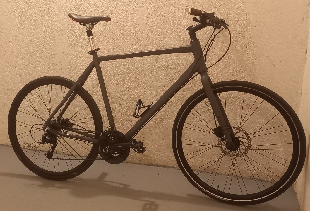 Winora flint 60