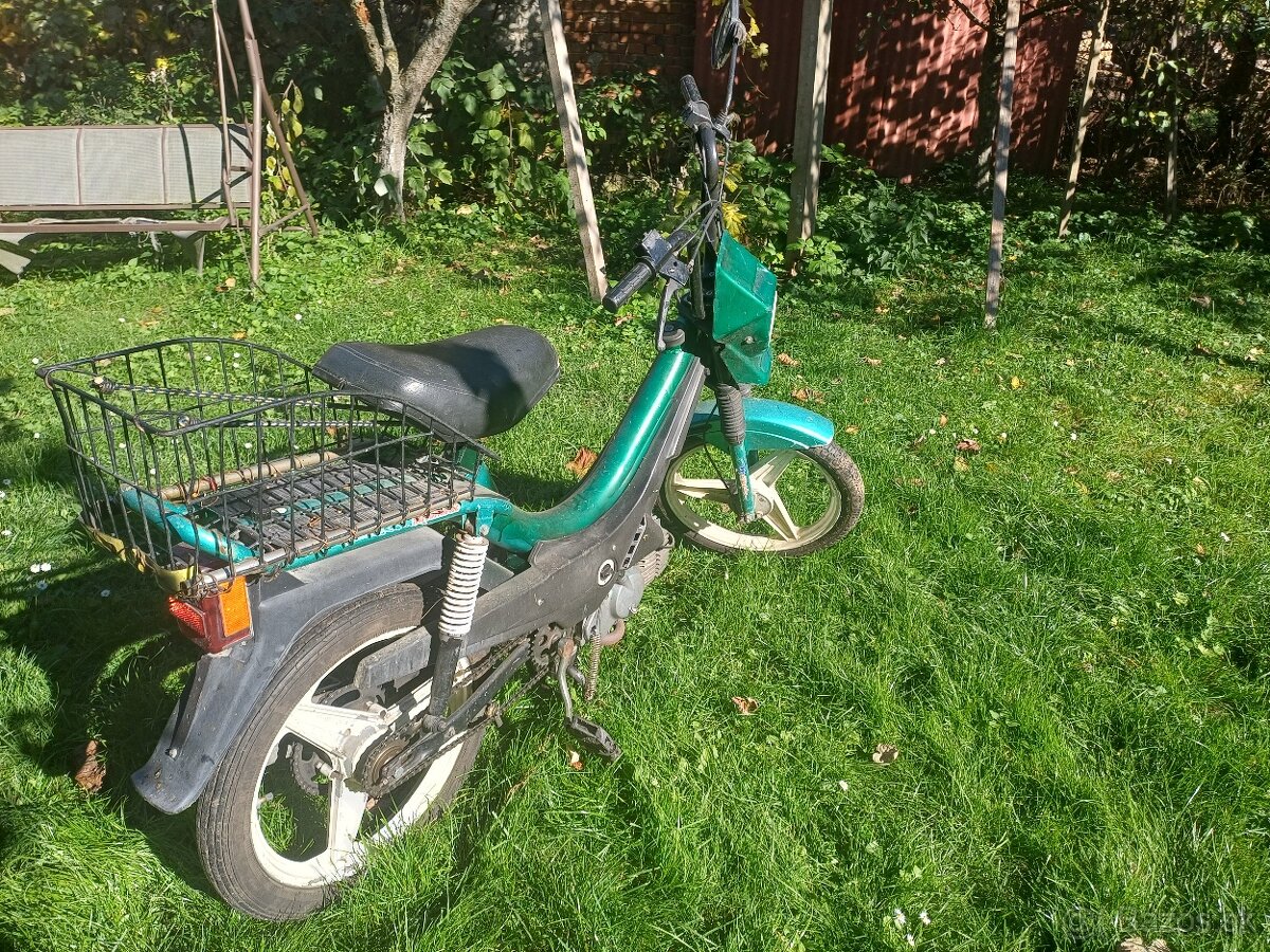 Predám Manet Korado