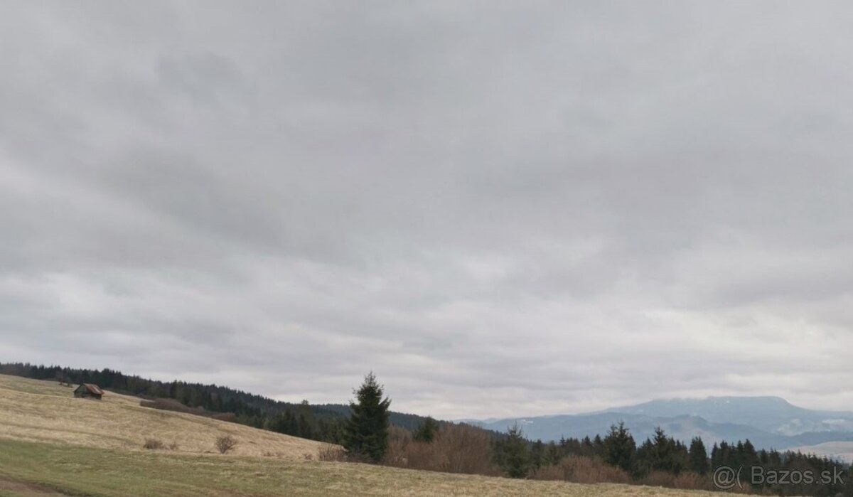 Ponúkam na predaj rekreačný pozemok v lokalite Čierny Balog