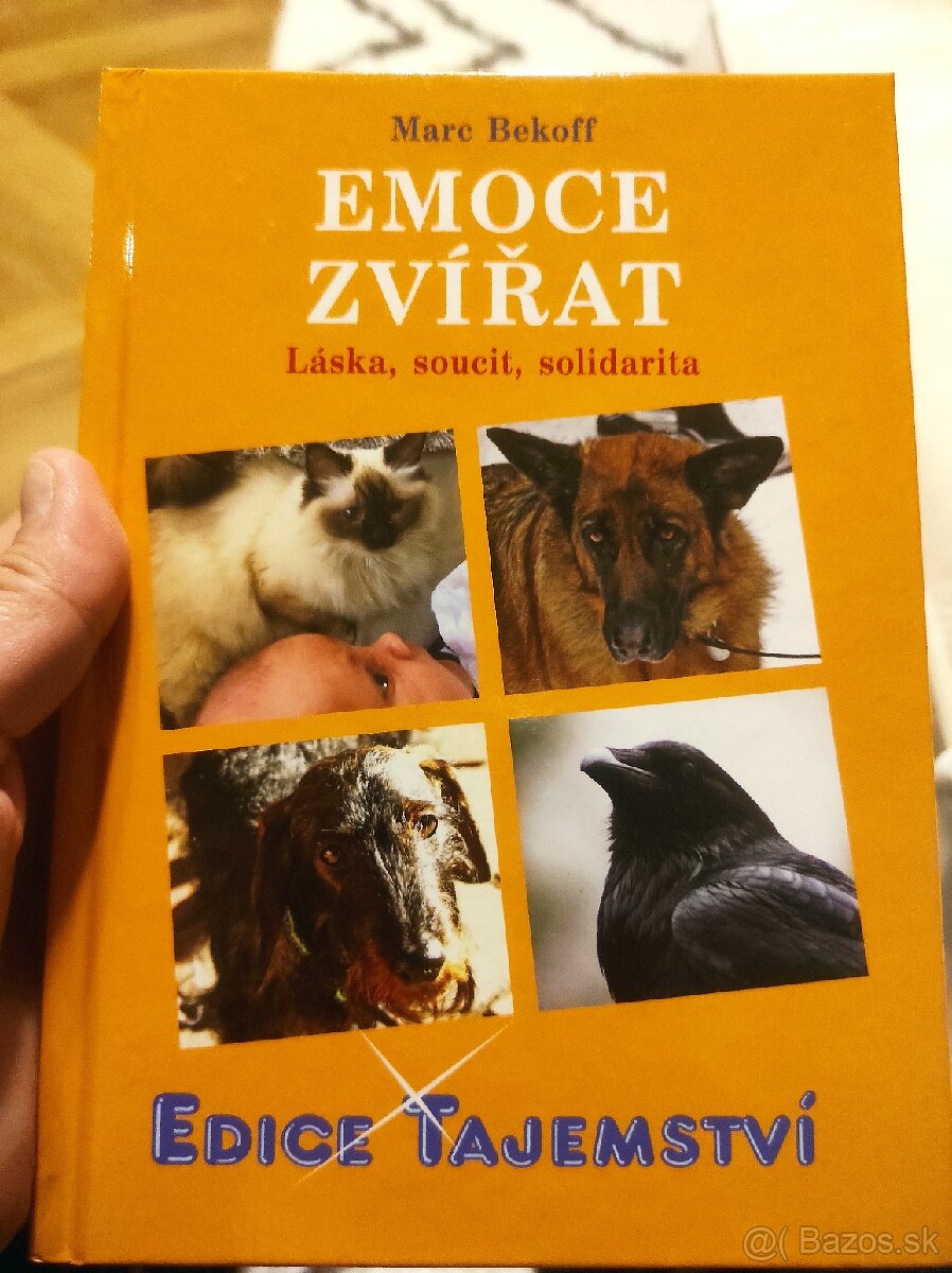 Emoce zvirat