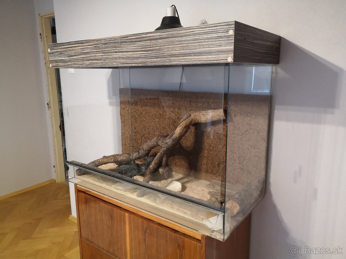 Terarium 100cmx75cmx45cm