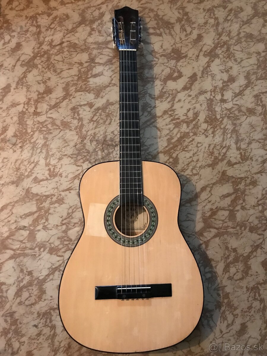 akusticka gitara Skylark