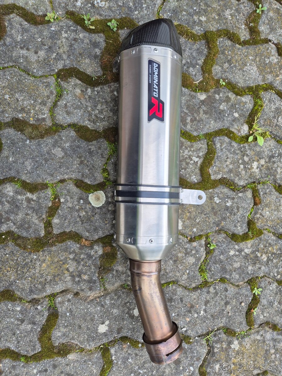 Dominator