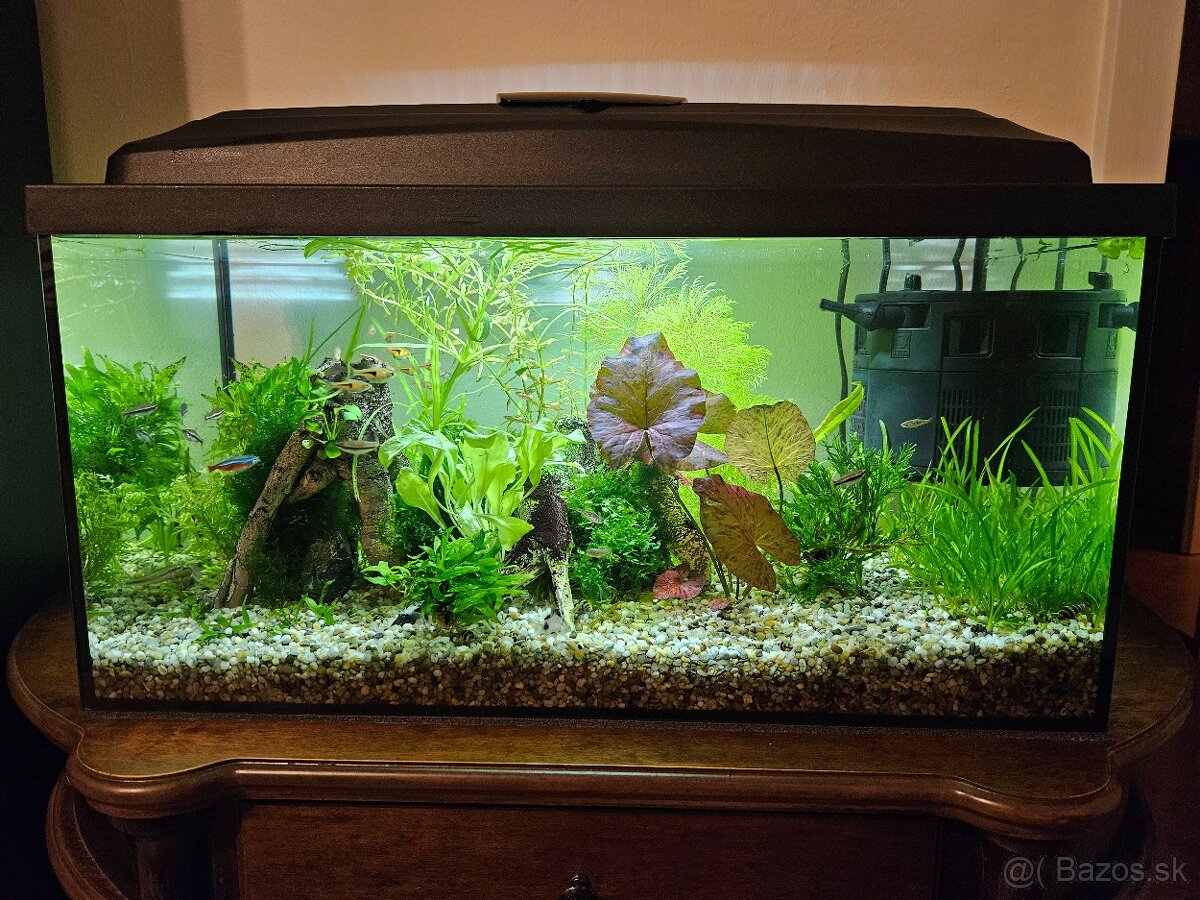 Akvárium 60l