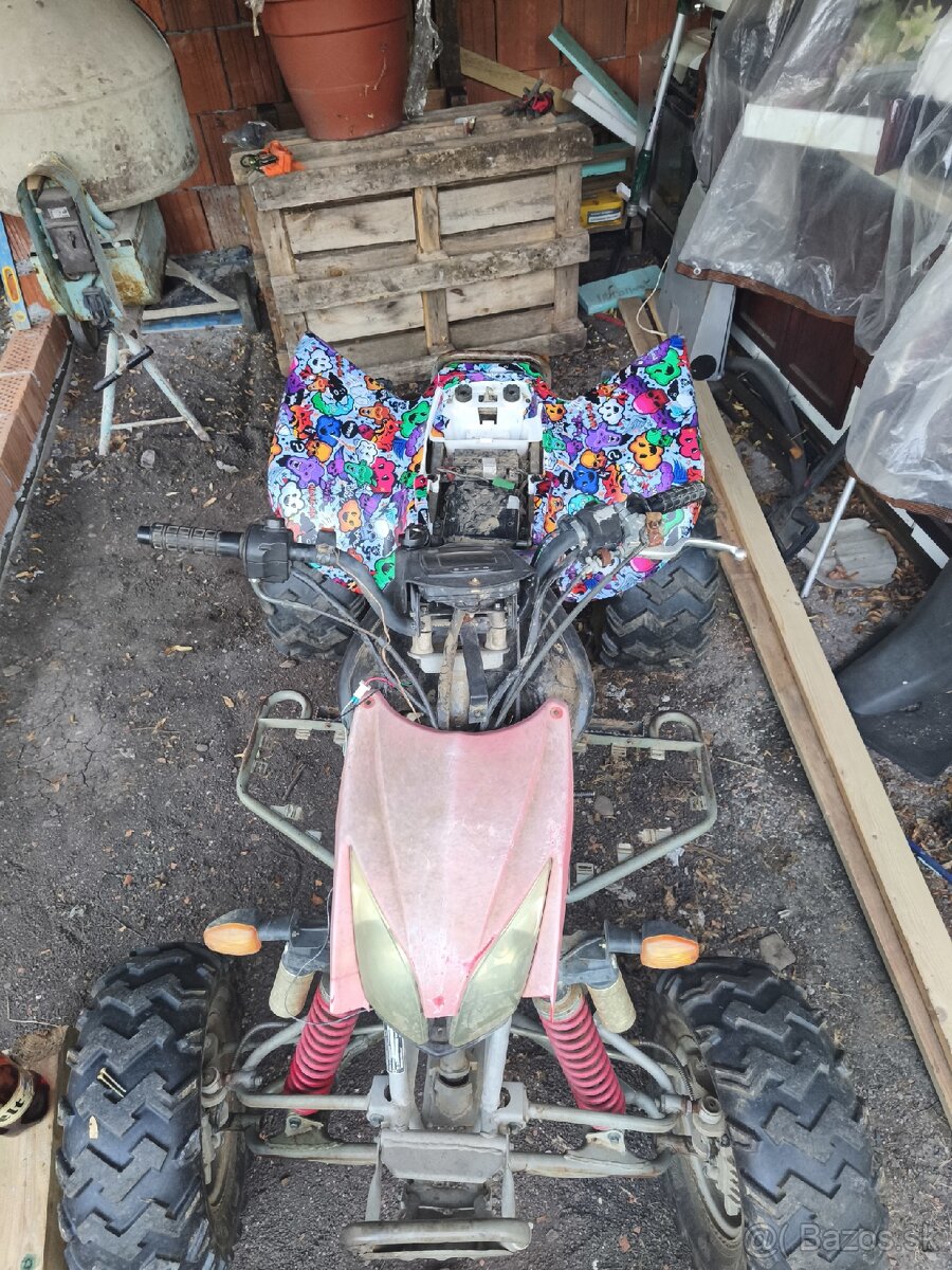 Bashan shineray 300