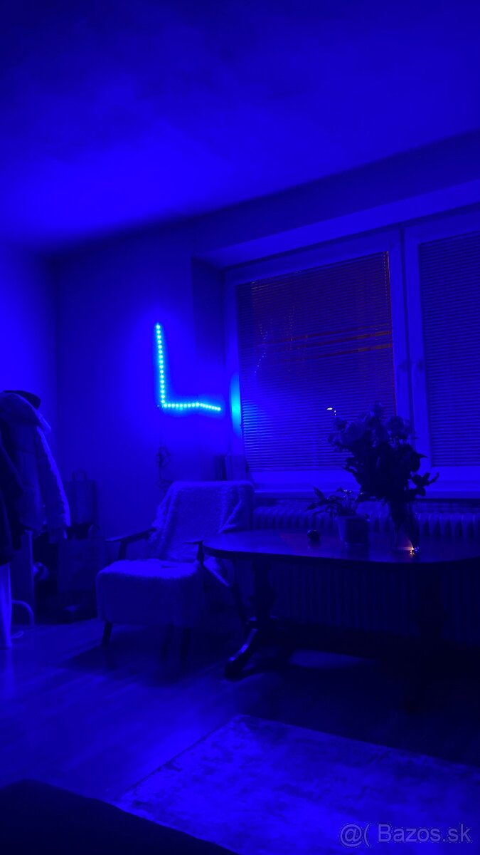 Prenajíma sa izba v byte.