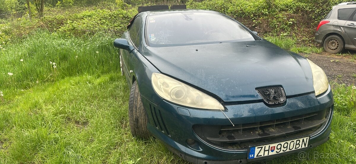 Peugeot 407 coupe